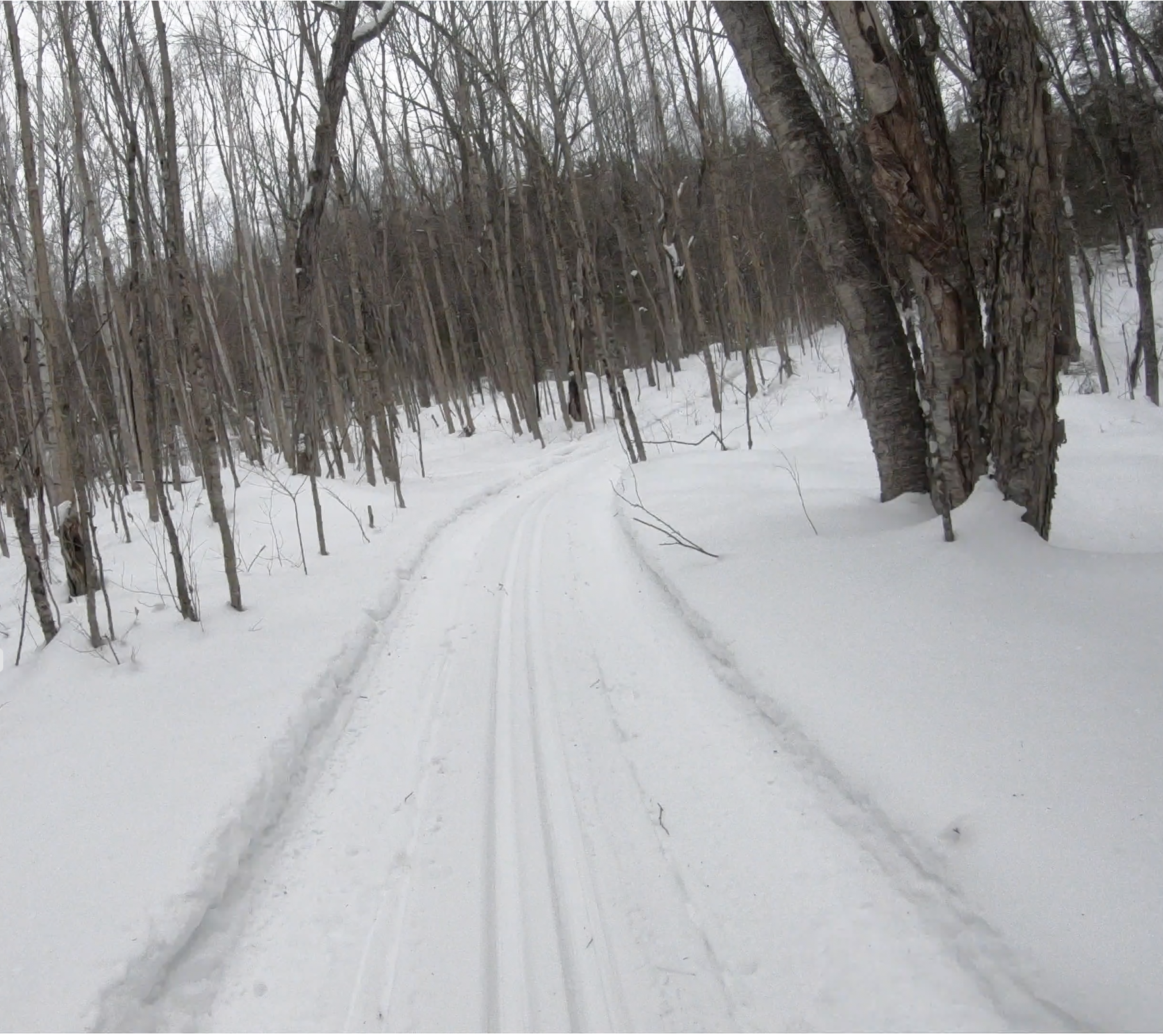 MLP_04.07 McKenzie Cross Country Club (Nordic Skiing)